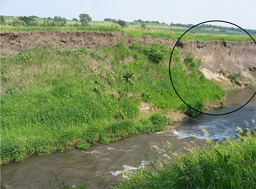 Picture of bank erosion