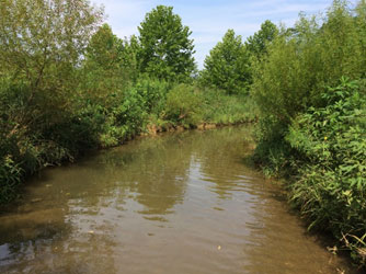 picture of chattanooga stream