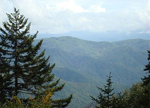 picture of GSMNP